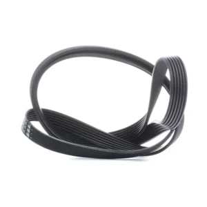 DAYCO 6PK1995 V-ribbed belt