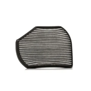 RIDEX 424I0247 Pollen filter